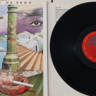 Weather Report : Mr. Gone vinyyli lp - pikkukuva 1