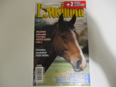 HEVOSHULLU 8 2004