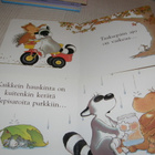 Pahvisivuisia kirjoja  sis. postikulut - pikkukuva 3