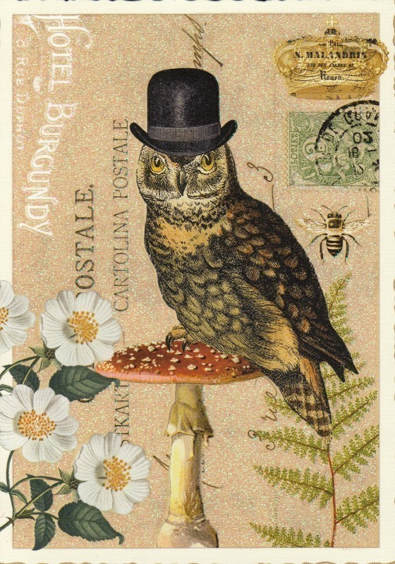 Pöllö kärpässienen päällä (Tausendschön-kortti)