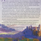 MAEVE BINCHY: ITALIAN ILLAT - pikkukuva 2