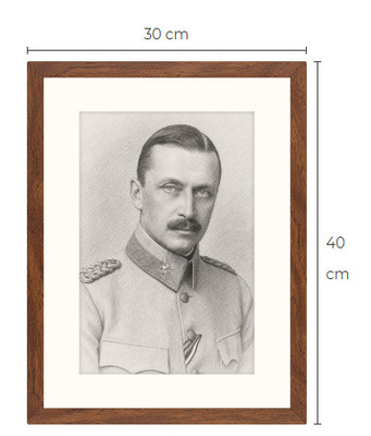 Uusi Mannerheim art print kehystetty 30 cm x 40 cm