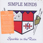 Simple Minds : Sparkle In The Rain 4cd - pikkukuva 1