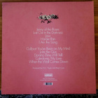 Hiss Golden Messenger: Hallelujah Anyhow lp - pikkukuva 2
