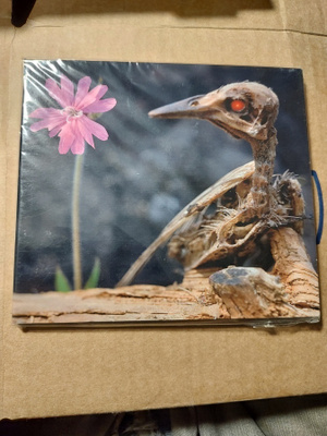 Verde: Petoviha CD