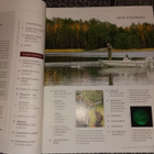 Metsästys ja kalastus 10/2010 - pikkukuva 3