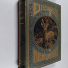 Diezel's Niederjagd - pikkukuva 1