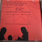 2xCD LOT: Shiny Foreheads – Soft Boys + Come See What I Got - pikkukuva 4