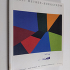 Ernst Mether-Borgström : Ernst Mether-Borgström : värin j... - pikkukuva 1