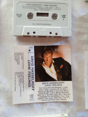 C- KASETTI: DAVID HASSELHOFF : LOVIN FEELINGS