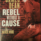 Nuori kapinallinen / Rebel Without a Cause DVD - pikkukuva 1