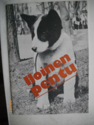 Iloinen pentu