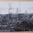 Inari, Laanila, n. 350 vanhaa mäntymetsää, SMY nro 86, ei p. - pikkukuva 1