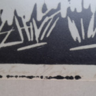 Joku vedos 12/50 1980 - pikkukuva 3