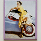 * Pin-up-magneetti * alushame tarttuu avoauton rättikattoon - pikkukuva 1