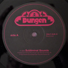 DUNGEN ~ Stadsvandringar ~ LP Ex-/Ex- - pikkukuva 4