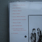 HUEY LEWIS AND THE NEWS - Small World - pikkukuva 2