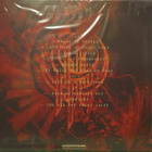 CYHRA - THE VERTIGO TRIGGER - ORANGE VINYL EU 2023 M-/M- LP - pikkukuva 2
