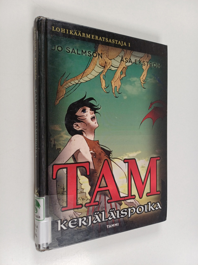 Jo Salmson : Tam kerjäläispoika
