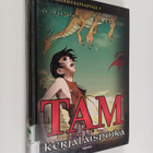 Jo Salmson : Tam kerjäläispoika - pikkukuva 1