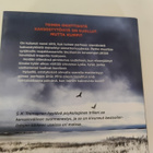 S.K Tremayne; Jääkaksoset - pikkukuva 2