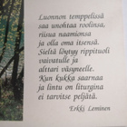 Luonnon temppelissa saa unohtaa................. - pikkukuva 2
