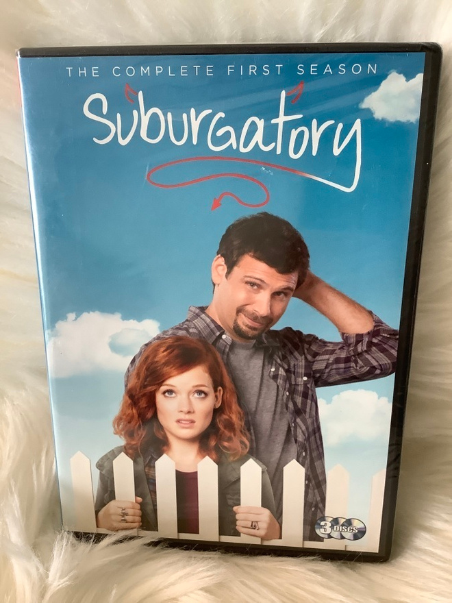 SUBURGATORY KAUSI 1  (UUSI,MUOVEISSA)