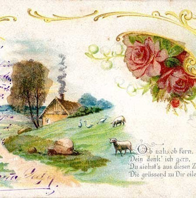 HARVINAISUUS!! / Lampaita laiduntamassa, ruusut. 1900-l.