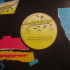 Gene And Jim Are Into Sampling: Shake ! 12" single House - pikkukuva 1