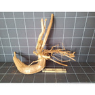 Uniikki akvaariojuurakko 70 cm | P092618 - pikkukuva 5