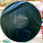 Triumph: Just a Game LP VG+ - pikkukuva 4