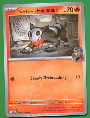 Pokémon Team Rocket's Houndour