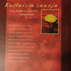 Kultaisia sanoja - pikkukuva 2