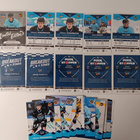 Blueline 2026/2027 Pelicans lotti - pikkukuva 2