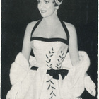 Filmitähti GINA LOLLOBRIGIDA - vanha kortti - pikkukuva 1