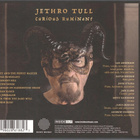 JETHRO TULL - CURIOUS RUMINANT - pikkukuva 2