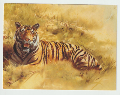 Leonard Pearman : Tiger Majesty (T)