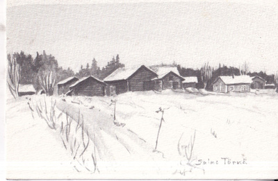 Salme Törmä. Aihe Lamminkoskelta.  e252