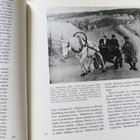 Sata suomalaisen kulttuurin vuotta - WSOY - pikkukuva 3