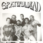 Grateful Dead - Built to Last (Remastered Black Vinyl 2023) - pikkukuva 5