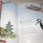 Titta Sevanto Räyhä - pikkukuva 2
