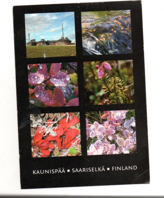 Saariselkä: Kaunispää
