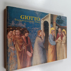 Bruce Cole : Giotto : the Scrovegni Chapel, Padua - pikkukuva 1