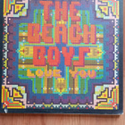 LP The Beach Boys Live You - pikkukuva 1