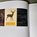 Osmo Rauhala "Nature, Science and Art" - pikkukuva 4