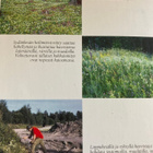 KASVISTAJAN OPAS - pikkukuva 2