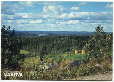 Ilomantsi Naarva 1980-luku