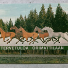Orimattila - pikkukuva 1