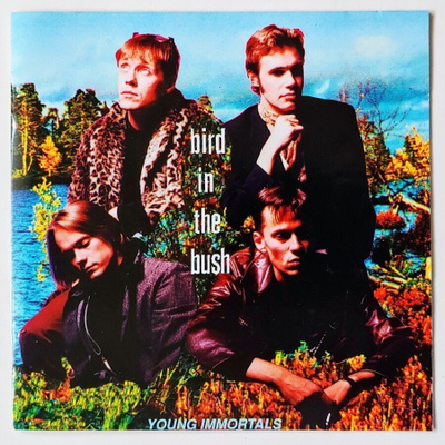 BIRD IN THE BUSH: Young Immortals – Strawberry CD 1994