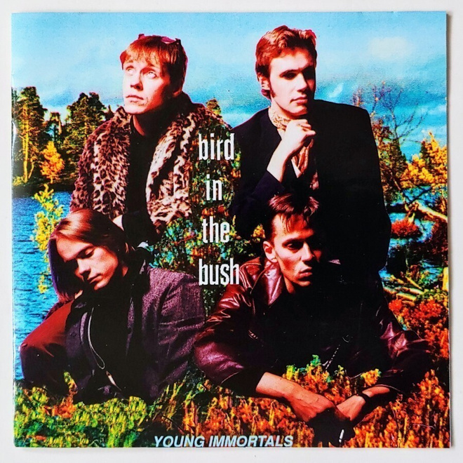 BIRD IN THE BUSH: Young Immortals – Strawberry CD 1994
